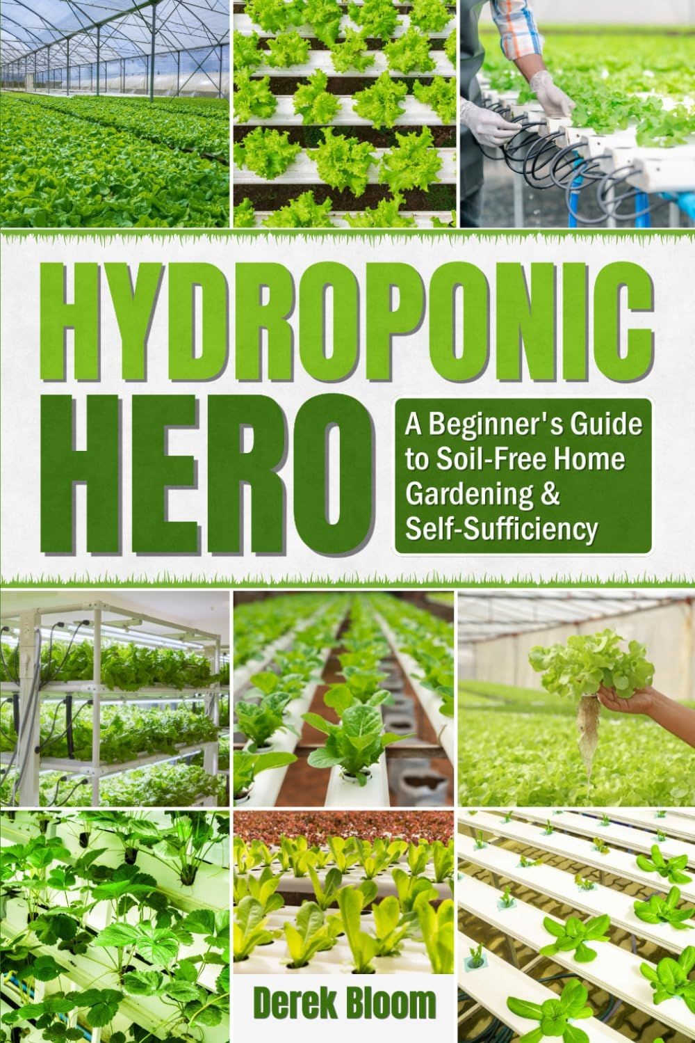 The Beginner’s Guide to Hydroponic Gardening